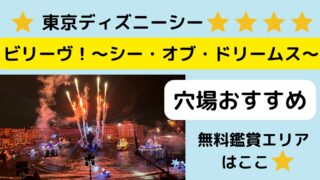 ディズニーシービリーヴ!超おすすめ無料鑑賞場所はここ☆