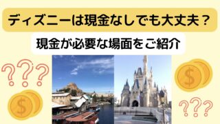 ディズニーは現金なしでも大丈夫？現金が必要な場面をご紹介